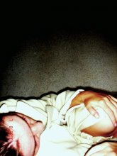 Inside the mother ... / ***