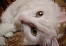 Look into my eyes / ***