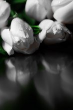 on the yield of spring / ***
