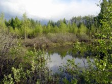 Lake in the boonies / ***