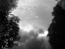 Rain, reflected in the water / ***