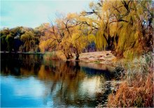 Autumn Meditation / ***