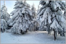 Snow Beauty / ***