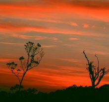 red sunrise / black  on  red