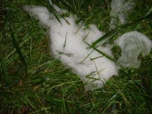 Last snow ... / ***