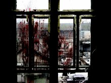 carnage / ***