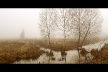 Foggy Morning 2 / ***