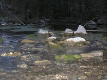 Rivulet evening / ***