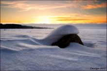 Sleeps under the cover of Giant / ***