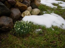 Spring has come! / ***