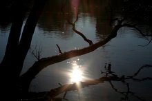 Sundog / ***