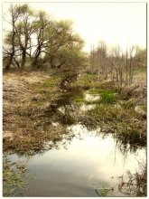 old river / ***