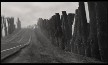 The road to ... / ***