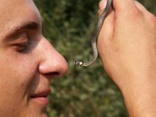 Youngest brother / ***