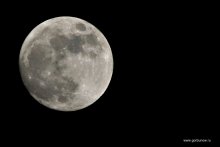 Moon / ***