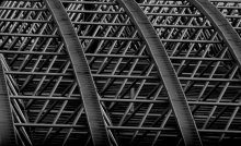 linearity / ***