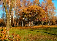 Autumn in the park / ***