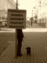 Strict rules of dog! / ***