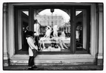 reflection of the spring / ***