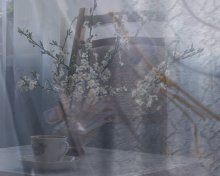 Breath of Spring in the walls of the apartment / ***