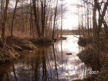 Spring / ***