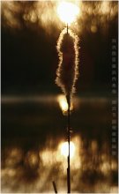 Solar prelude / ***