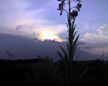 In the evening, before the storm / ***