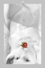 Strawberry / ***