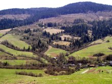 Beauty of the Ukrainian News Carpathians / ***