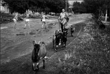 About summer vacation (0) / ***