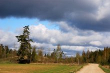 May clouds / ***