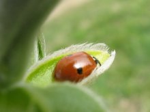 importantly, comfortable night's sleep! / ***