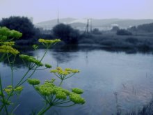 Ural Lake / ***