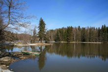Spring on the lake. / ***