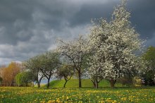May storm over the blossoming earth / ***