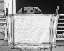 Keane? - Do not be! :) / ***