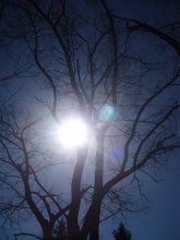 and the sun can get into the network / ***