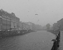 non-flying weather ... / ***