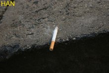 Smoking - harm / ***