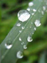 rain / ***