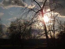 May evening / ***