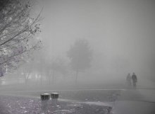 love the fog / ***