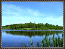 axis of symmetry? / ***