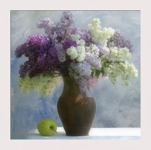 Apple-lavender ... / ***