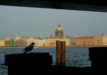 to live under a bridge / ***