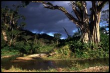 Lost in Madagascar / ***