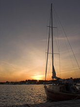 on the outskirts of St. Petersburg .... / ***