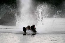 splashdown / ***