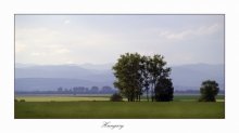 Hungarian landscape / ***