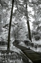 about the cat walk and infrared observations ... / Canon 350D IR